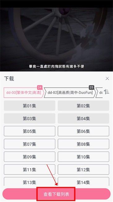 duofun软件